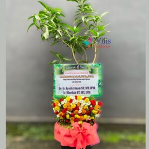 Bibit ucapan pohon(1)