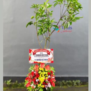 Bibit ucapan pohon(2)