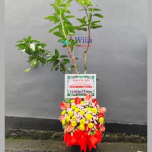 Bibit ucapan pohon(4)